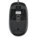 Мышка HP Optical Scroll USB (QY777AA)