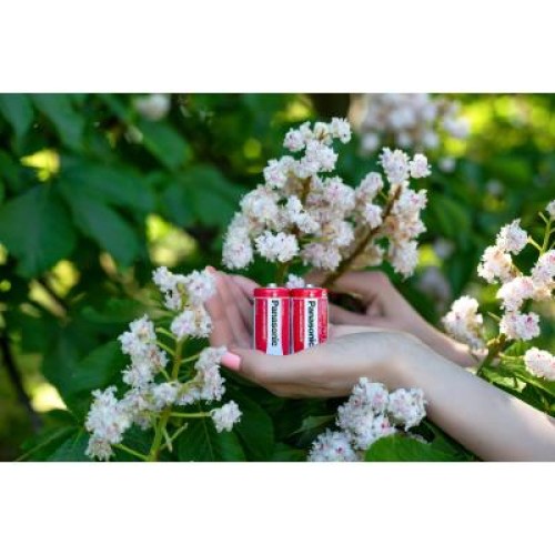 Батарейка Panasonic C R14 RED ZINK * 2 (R14REL/2BPR)