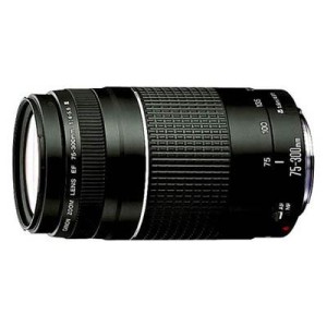Объектив Canon EF 75-300mm f/4-5.6 III (6473A015)