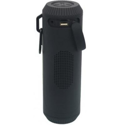 Акустическая система Greenwave PS-601WP black (R0015299)