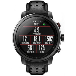 Смарт-часы Amazfit Stratos 2S Black