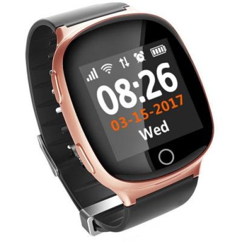 Смарт-часы UWatch D100 Rose Gold (F_54967)