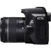 Цифровой фотоаппарат Canon EOS 250D kit 18-55 IS STM Black (3454C007)