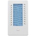 Системная консоль Panasonic KX-HDV20RU