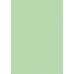 Папір Buromax А4, 80g, PASTEL light green, 20 sheets, 80g (BM.2721220-15)