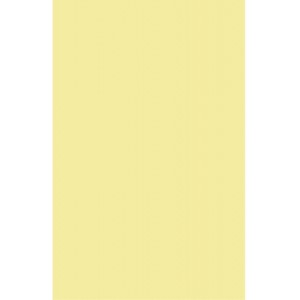 Папір Buromax А4, 80g, PASTEL yellow, 20sh, EUROMAX (BM.2721220E-08)