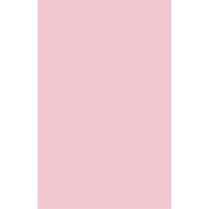 Папір Buromax А4, 80g, PASTEL pink, 20sh, EUROMAX (BM.2721220E-10)