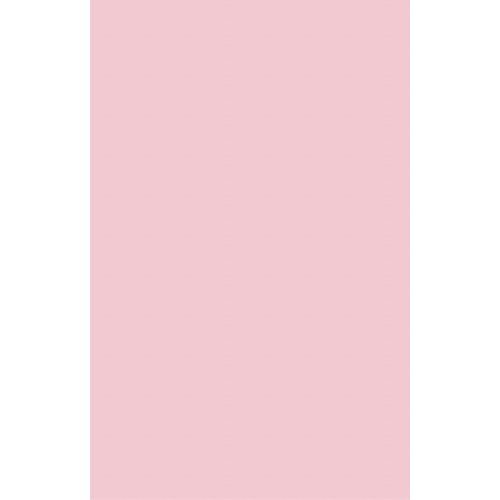Бумага Buromax А4, 80g, PASTEL pink, 20sh, EUROMAX (BM.2721220E-10)