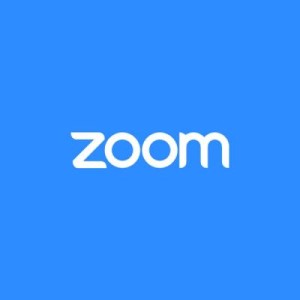 Системна утиліта Zoom One Pro, Annual 1 month (ZOPA)