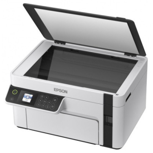 Многофункциональное устройство Epson M2110 (C11CJ19401)