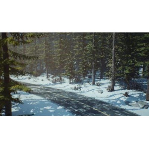Игра Sony Life is Strange 2 [PS4, English version] (SLIS24EN01)