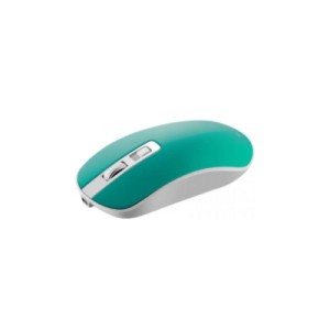 Мышка Canyon CNS-CMSW18A Wireless White-Green (CNS-CMSW18A)