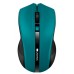 Мышка Canyon MW-5 Wireless Green-Black (CNE-CMSW05G)
