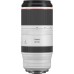Объектив Canon RF 100-500mm f/4.5-7.1 L IS USM (4112C005)