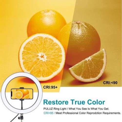 Набор блогера Puluz Ring USB LED lamp PU397 10.2" (PU397)