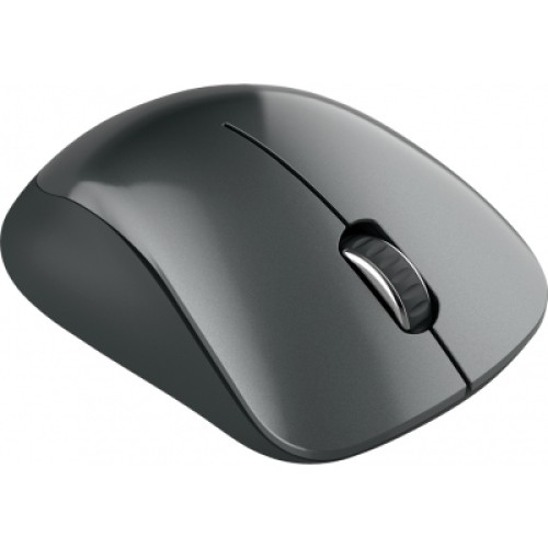 Мышка Canyon MW-11 Wireless Pixart Black (CNE-CMSW11B)