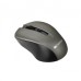 Мышка Canyon MW-1 Wireless Gray (CNE-CMSW1G)