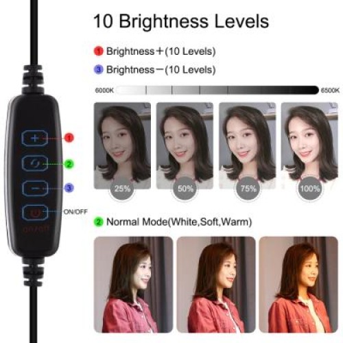 Набор блогера Puluz 4in1 (ring light, mount, phone holder, microphone) (PKT3028)