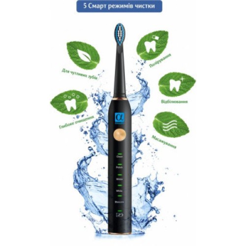 Электрическая зубная щетка AHealth SMART SONIC SMILE 1 black (AHsss1b)