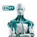 Антивирус Eset Endpoint Encryption 7 ПК на 2year Business (EEE_7_2_B)