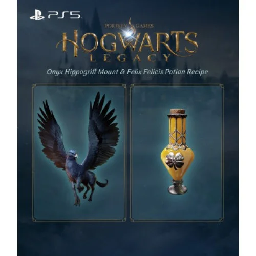 Игра Xbox Hogwarts Legacy, BD диск (5051895413449)