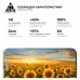 Скло захисне Armorstandart Pro 3D Apple iPhone 15 Plus Black (ARM68218)