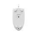 Мишка A4Tech N-530 USB White (4711421987479)