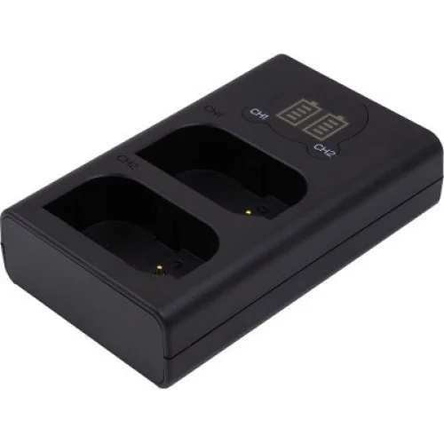 Зарядное устройство для фото PowerPlant Panasonic DL-BLK22 для двух аккумуляторов (CH980376)