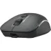 Мышка A4Tech FB26CS Air2 Wireless/Bluetooth Smoky Grey (4711421999090)