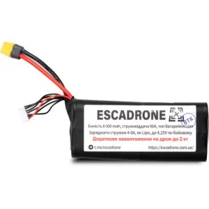 Аккумулятор для дрона EVE 6s2p 40p 8000mAh XT60 з балансиром (EVE-8000)