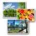 Фотопапір ColorWay A4 200г glossy 50л (PG200050A4)